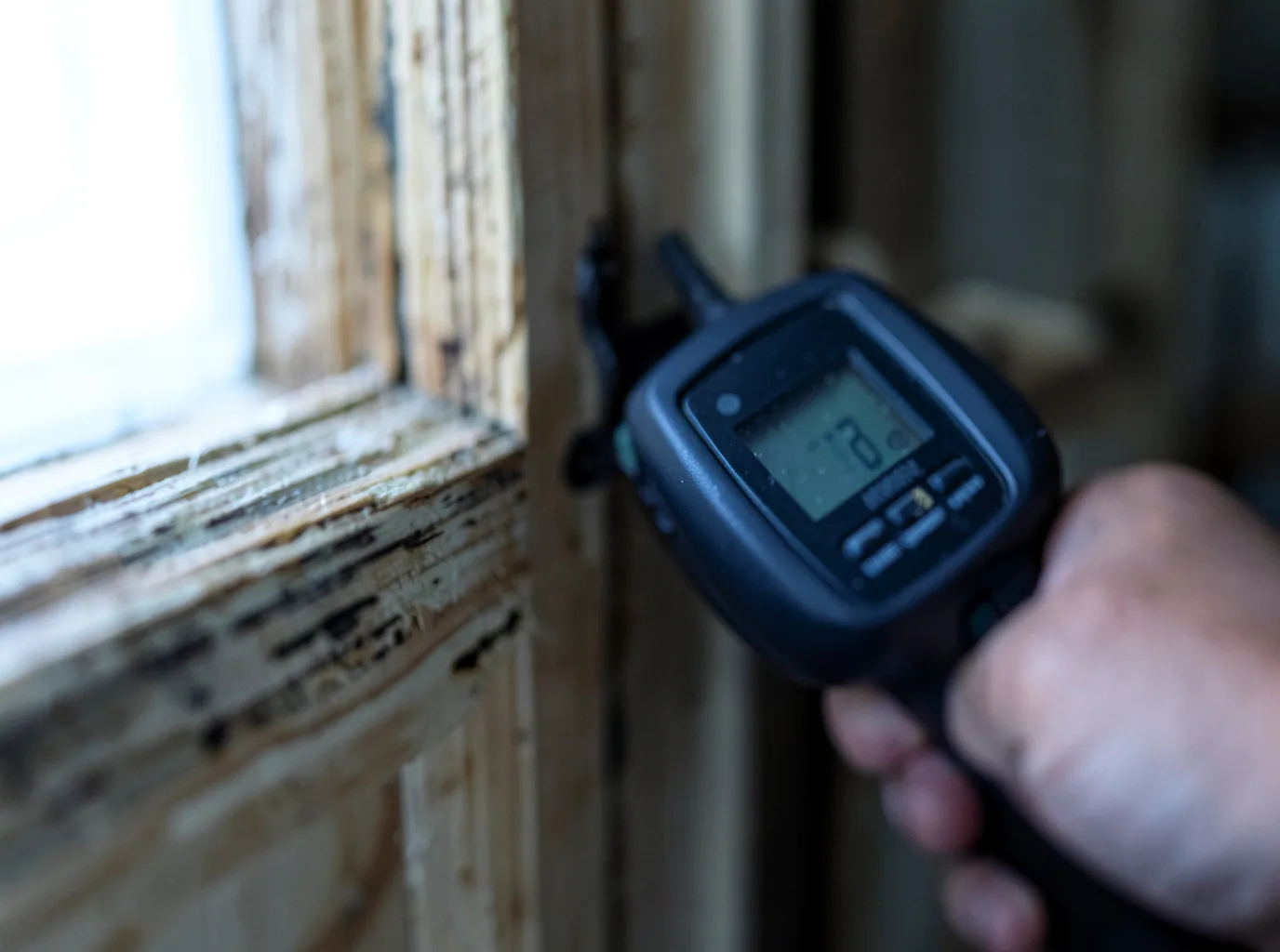 Moisture Inspection And Documentation in Carleton, MI